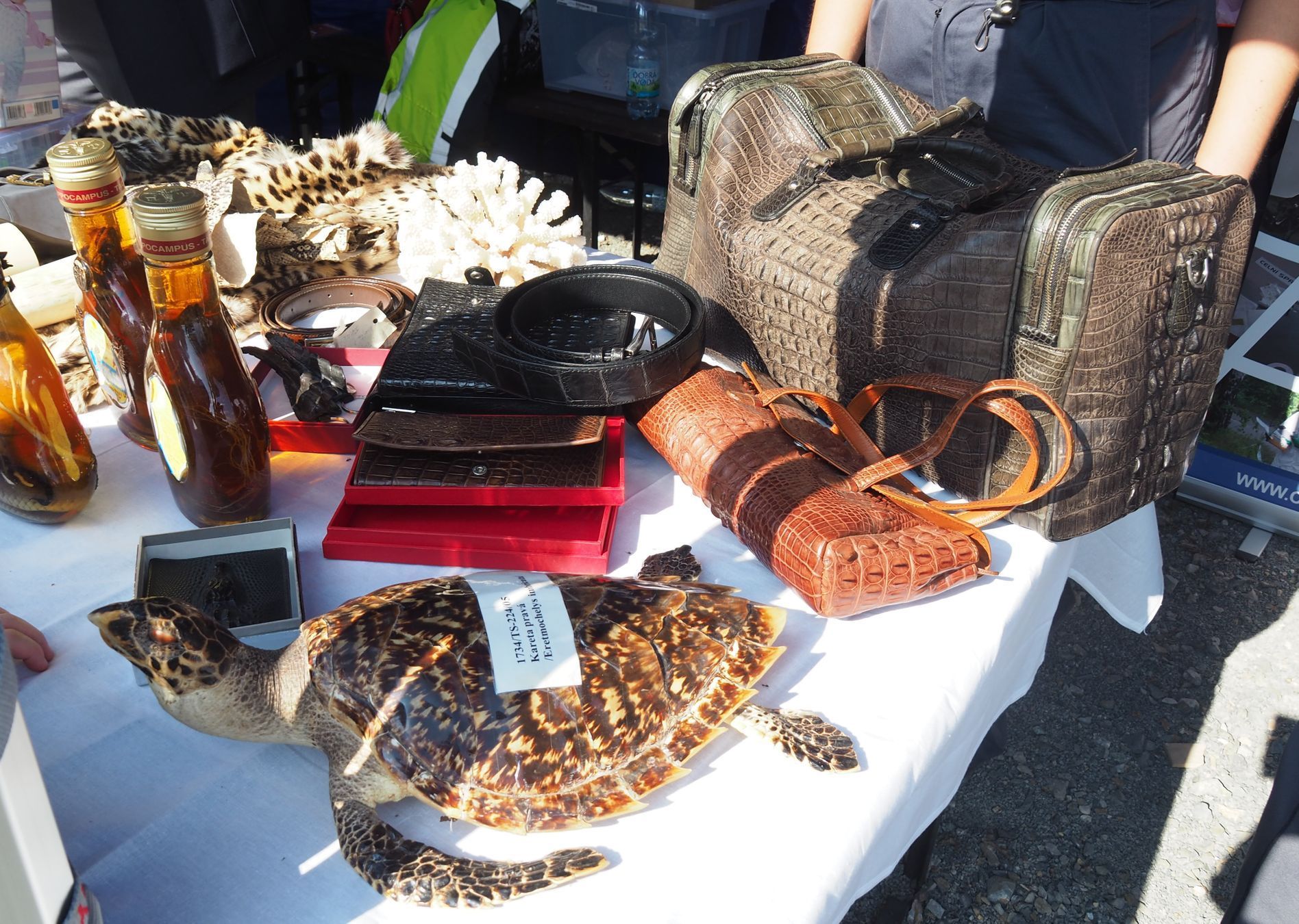 Festival vědy 2018 - Dejvice