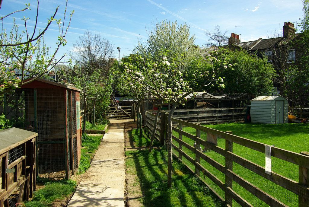 Farmy a zahrady v Anglii