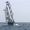 Tall ships festival 2014, Los Angeles, USA