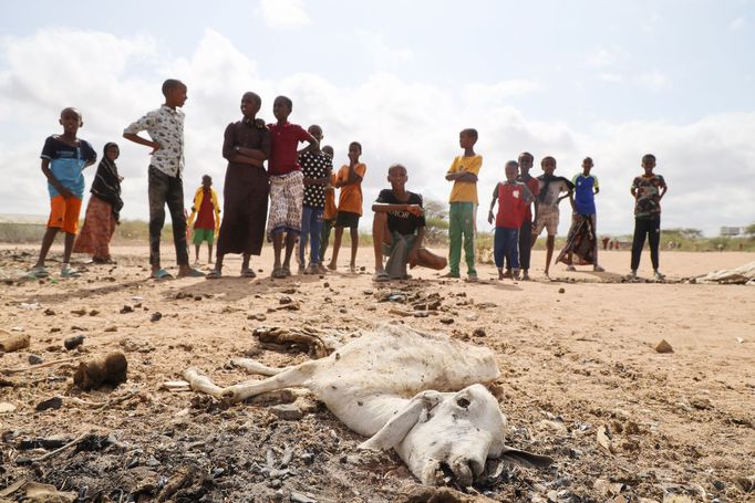 Snímek z Keňské republiky v Africe, která byla pořízena v oblasti města Dadaab v roce 2022, kde je i velký uprchlický tábor pro lidi, kteří byli postižení hladomorem.