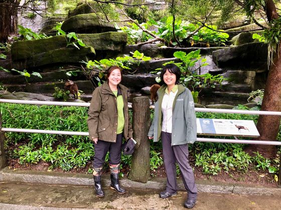 Flora (vlevo) a Yuli z Taipei Zoo.