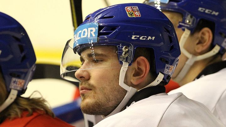 Velké oslabení před play off. Pardubice přišly o nejlepšího střelce; Zdroj foto: Lukáš Caha