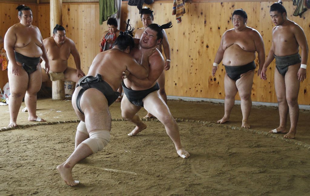 Japonští sumo na "letním táboře"