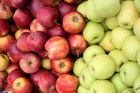 Jarní mrazy kazí podzim. Jablka výrazně zdražila kvůli nižší úrodě v Evropě