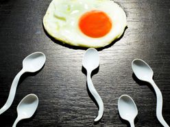 Spermie jako lžičky s vejcem