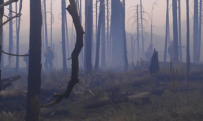 Burnt out terrain off of Forest Rd. 141 in the Gila National Forest, New Mexico, is seen in this handout photo supplied by the United States Forest Service on May 30, 2012. New Mexico's Whitewater-Baldy Complex fire, still raging in the rugged mountains of the Gila National Forest, has grown to more than 170,000 acres, becoming the largest wildfire in the state's history, fire officials said on Wednesday. REUTERS/Steven Meister/Mt. Taylor Hotshots/USFS/Handout (UNITED STATES - Tags: ENVIRONMENT DISASTER) FOR EDITORIAL USE ONLY. NOT FOR SALE FOR MARKETING OR ADVERTISING CAMPAIGNS. THIS IMAGE HAS BEEN SUPPLIED BY A THIRD PARTY. IT IS DISTRIBUTED, EXACTLY AS RECEIVED BY REUTERS, AS A SERVICE TO CLIENTS Published: Kvě. 30, 2012, 6:53 odp.