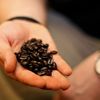 Starbucks Coffee
