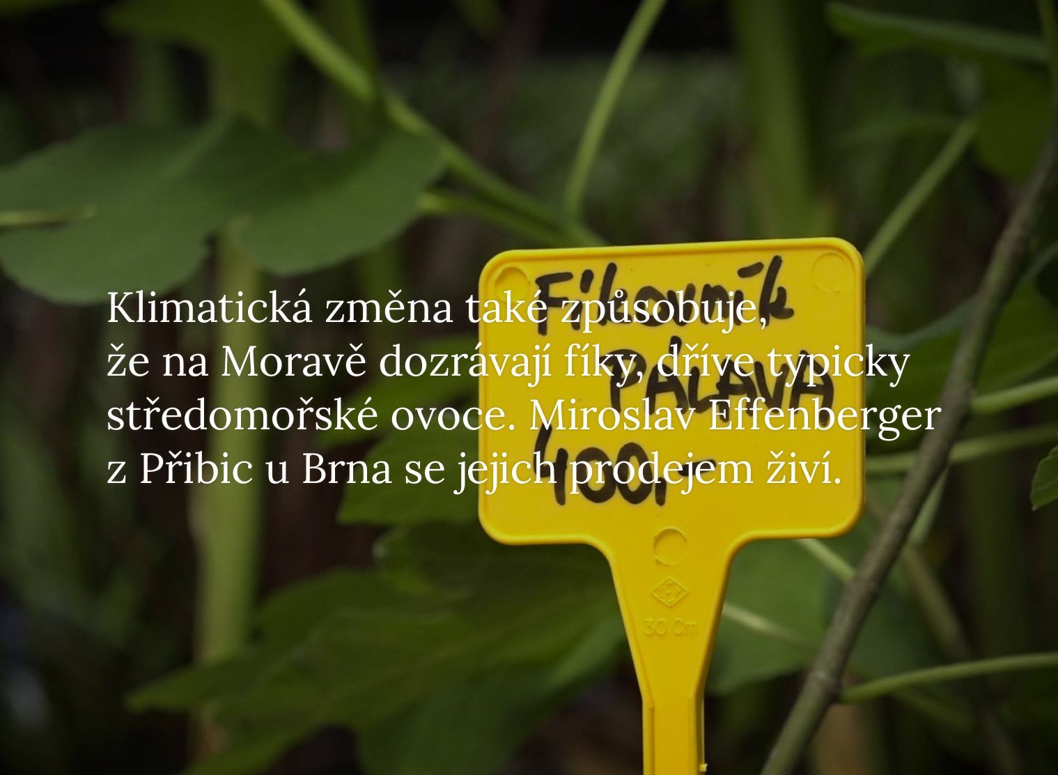 planeta v nouzi 2 - slejdy