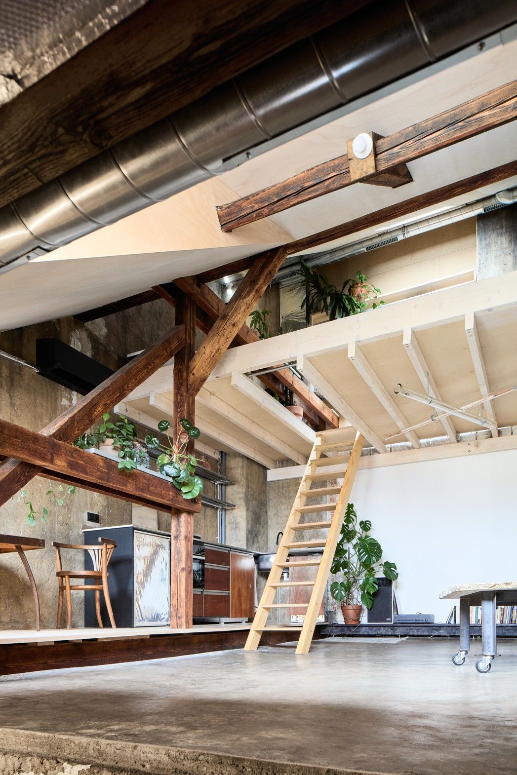 byt, interiér, rekonstrukce, půda, ateliér