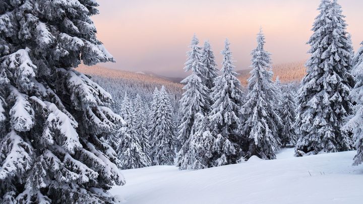 Do Česka dorazí sníh. Na horách napadne až 40 centimetrů, hrozí závěje