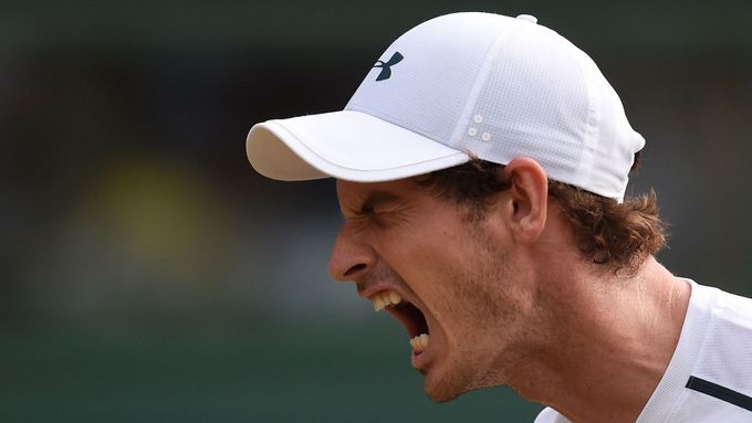 Andy Murray zdolal italského bouřliváka Fogniniho ve čtyřech setech.