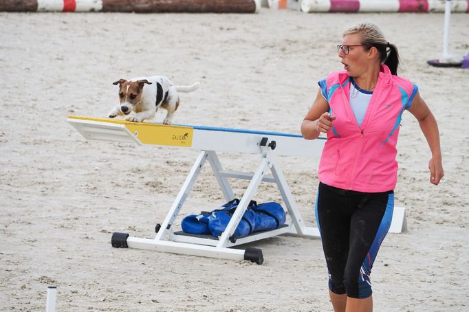 Mezinárodní kynologické závody Prague Agility Party 2022, závodiště Velká Chuchle