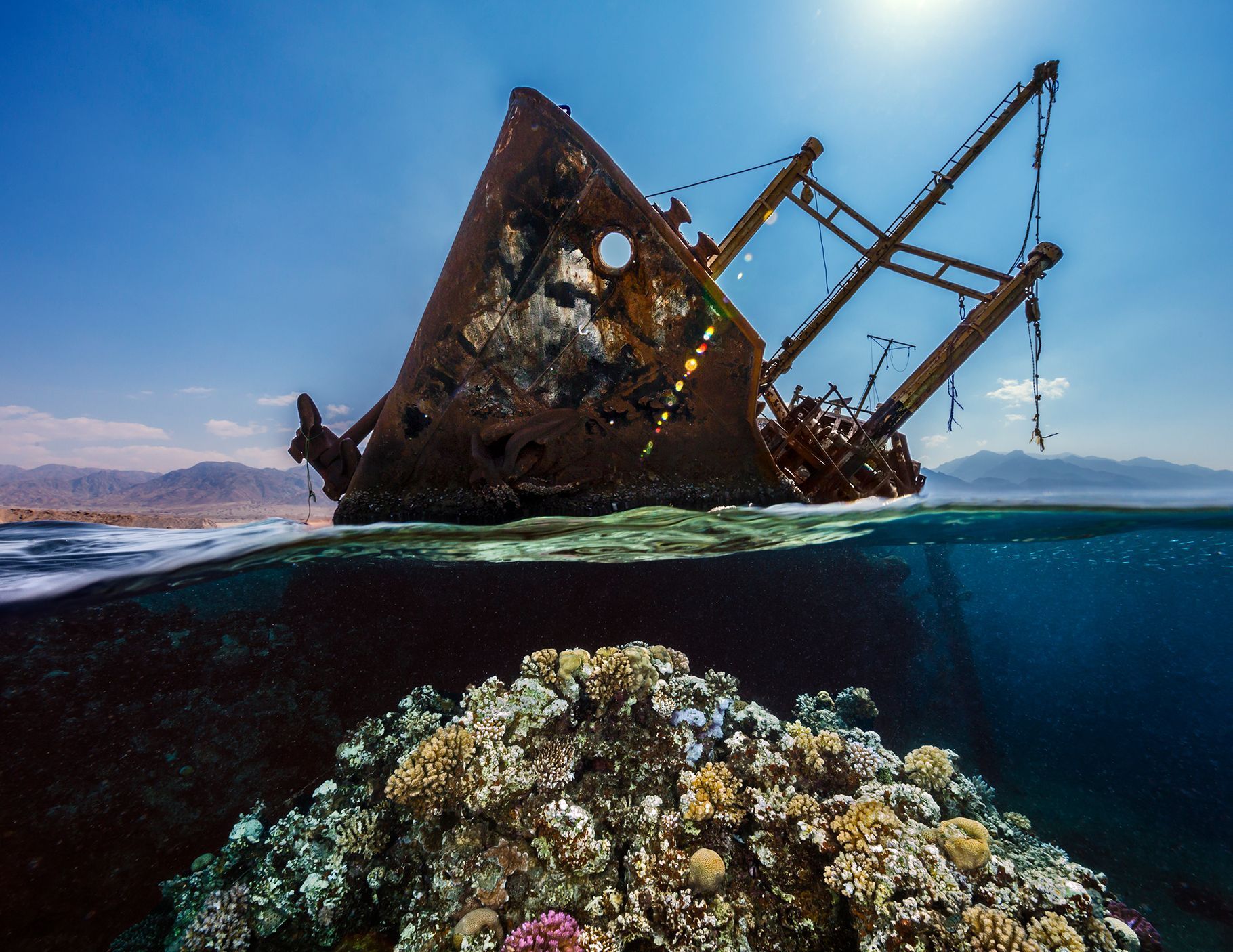 Vítězové soutěže Underwater Photographer of the Year 2021