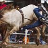 Obrazem: Vězeňské rodeo v USA