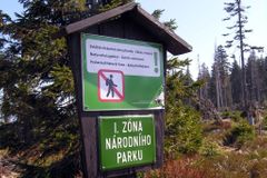 Národní park Šumava postavil načerno turistický chodník