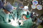 Čeští lékaři transplantovali játra teprve čtyřměsíčnímu kojenci. Při operaci vážil jen 4 kila