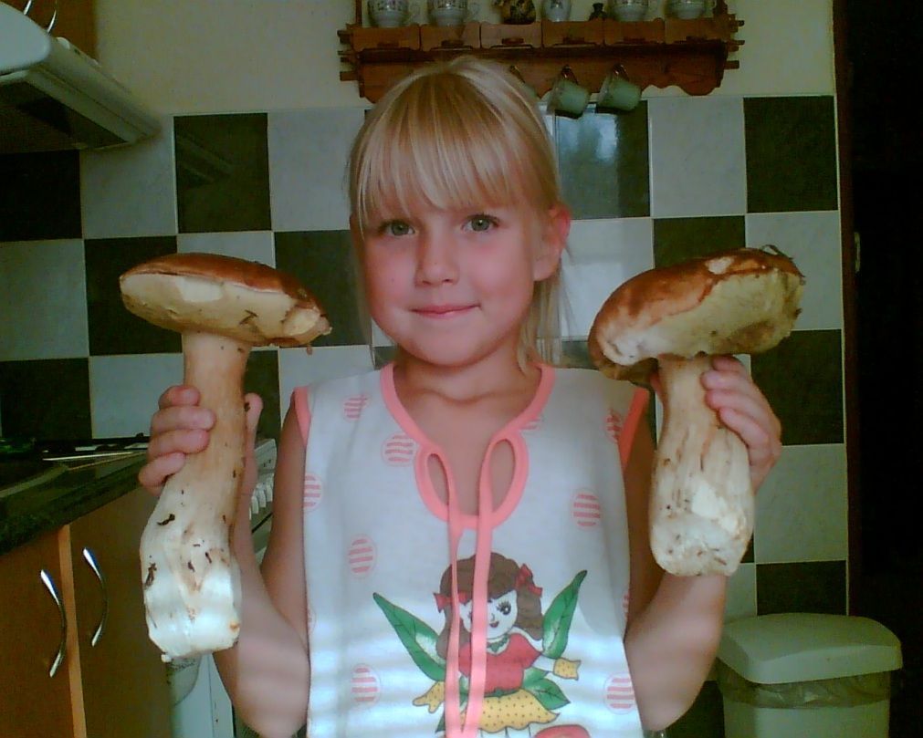 Fotosoutěž: Houby 2002 (srpen) xxx Jura xxx !!!Nepoužívat v článcích!!!