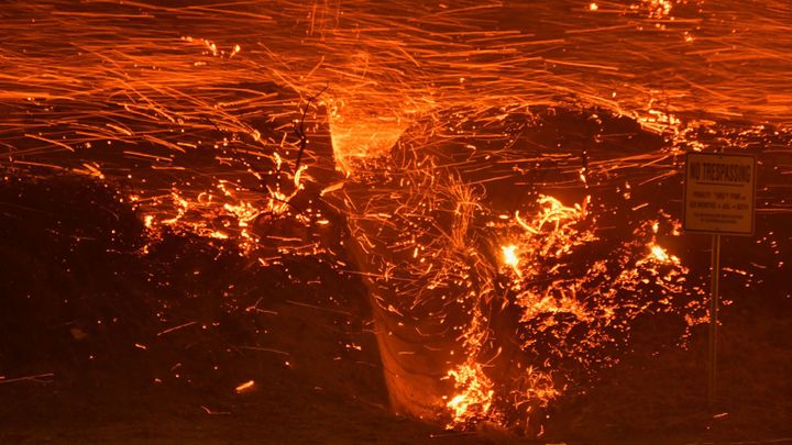 V Kalifornii hoří lesy, oheň už dosáhl na severní okraj Los Angeles