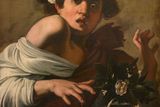 Caravaggio: Chlapec kousnutý zelenou ještěrkou, Řím, zhruba z let 1597 až 1598.