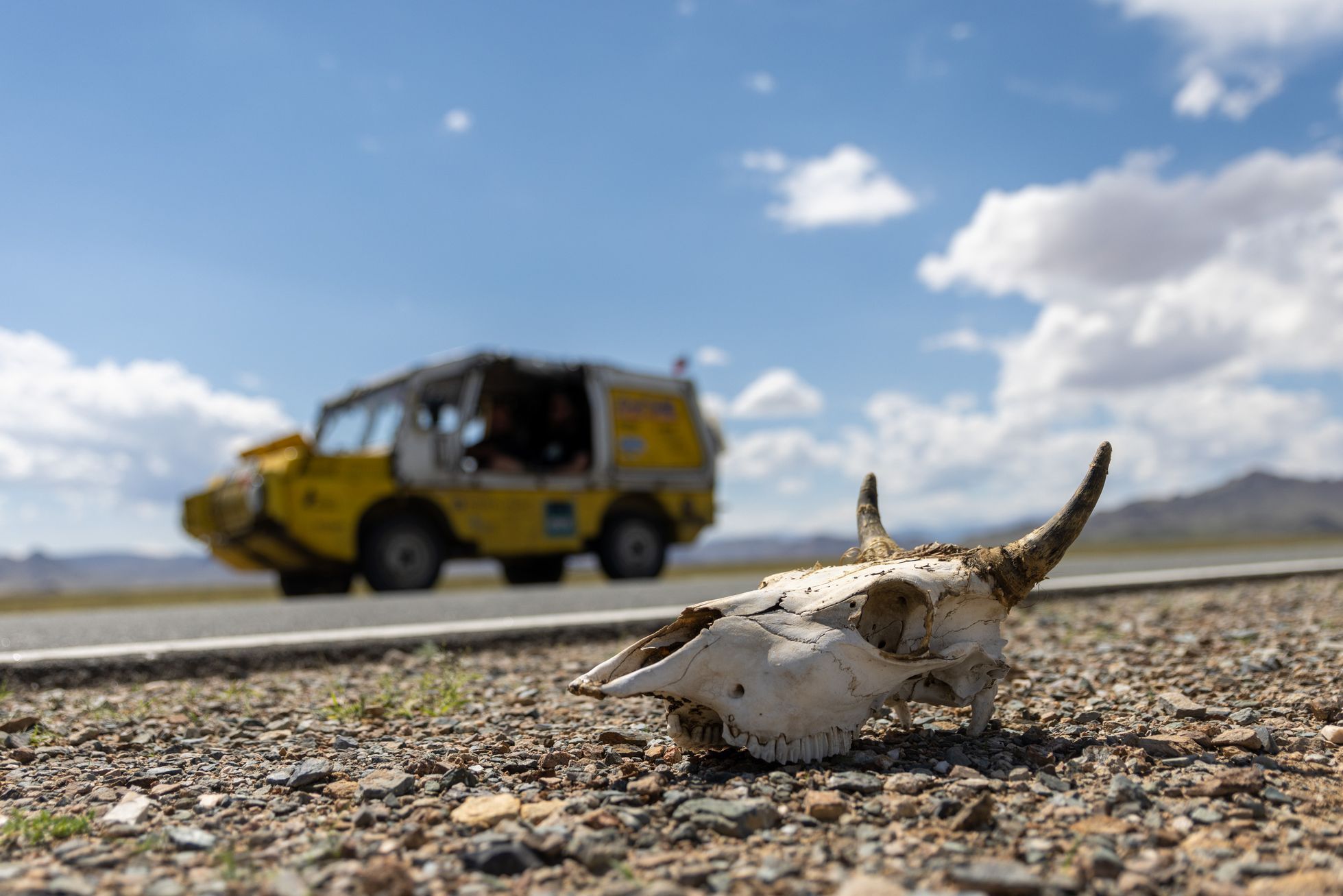 Dan Přibáň Žlutá žába