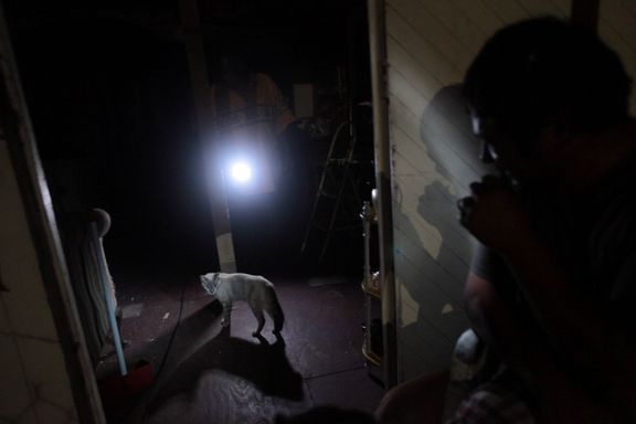 Na více než 50 procentech území Portorika nefunguje elektřina. 