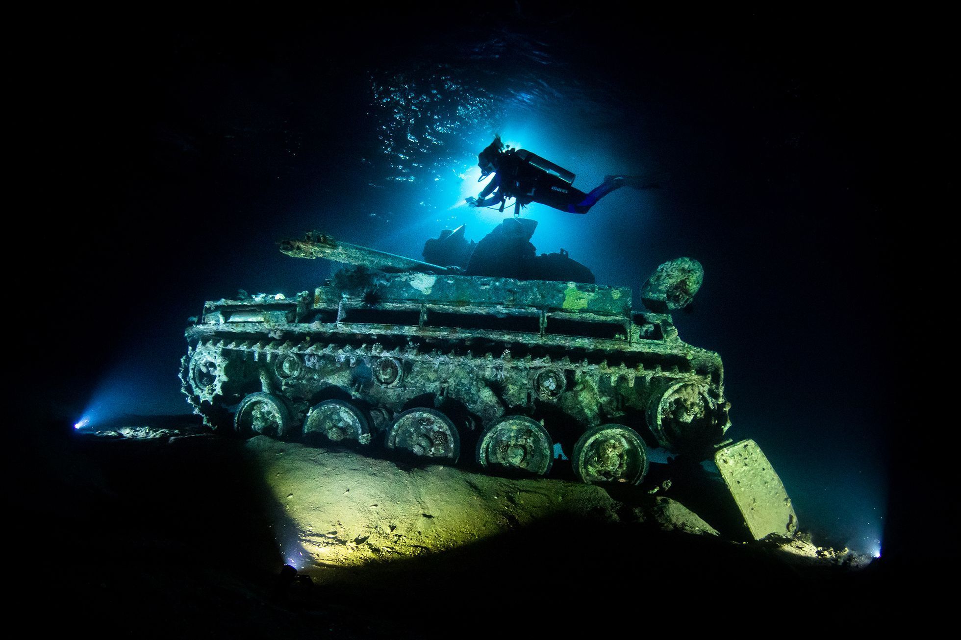 Vítězové soutěže Underwater Photographer of the Year 2021