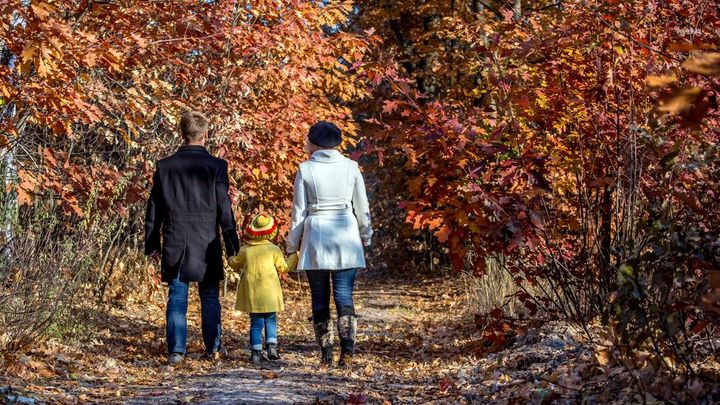 Česko je jednou z nejmírumilovnějších zemí na světě, v žebříčku skončilo desáté
