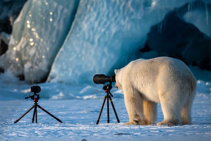 Finalisté fotosoutěže Comedy Wildlife Photography Awards 2018