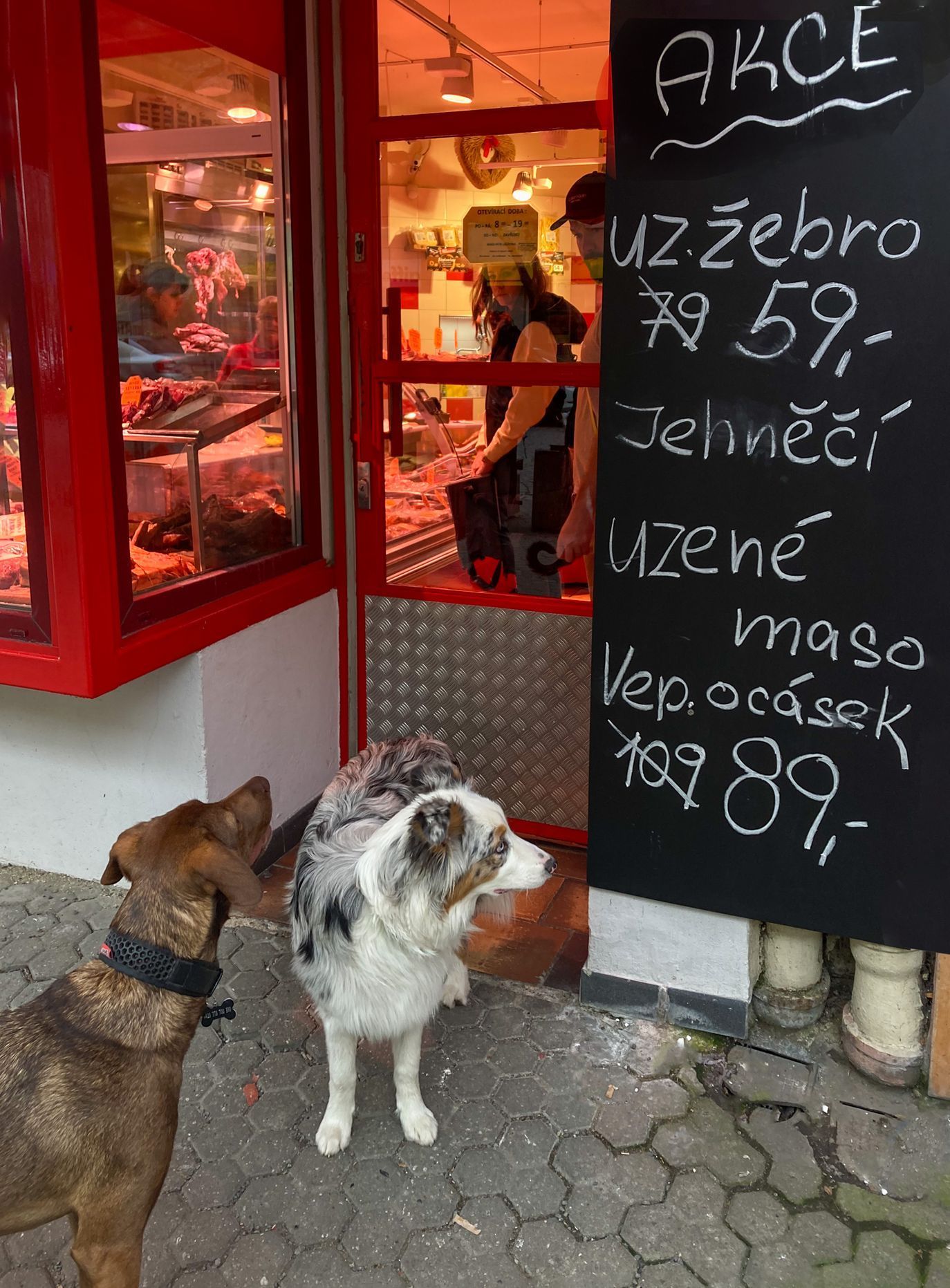 TOP FOTO 2021 - Richard Horák. Výroční fotogalerie nejlepších snímků roku