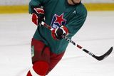 Fetisov se stane nejstarším ruským profesionálním hokejistou. V NHL odehrál v jednapadesáti letech celou sezonu za Hartford legendární útočník Gordie Howe a připsal si 15 gólů a 26 asistencí.