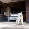 Volkswagen Transporter T7 2025