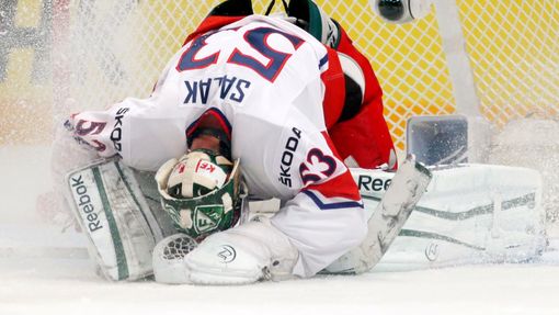 Hokej, MS 2013, Česko - Švýcarsko: Alexander Salák