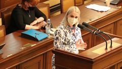 Mezi těmi, kteří vystupují na úvod schůze sněmovny 25. května je také poslankyně ODS Jana Černochová, která žádala, aby se sněmovna zabývala chováním běloruského režimu.
