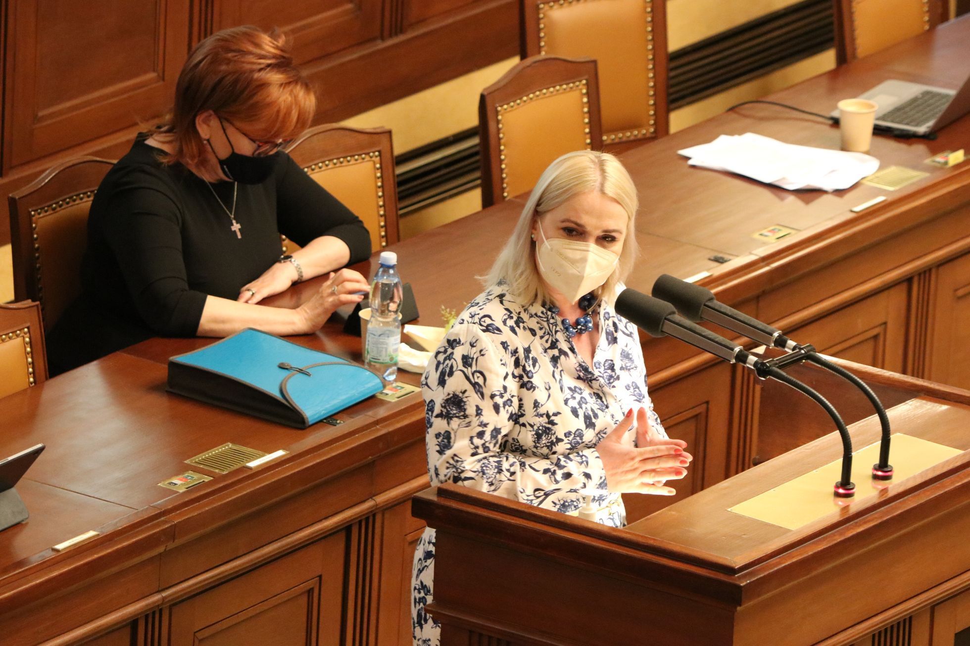 Mezi těmi, kteří vystupují na úvod schůze sněmovny 25. května je také poslankyně ODS Jana Černochová, která žádala, aby se sněmovna zabývala chováním běloruského režimu.