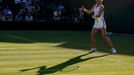 Lucie Šafářová v prvním kole  Wimbledonu 2015