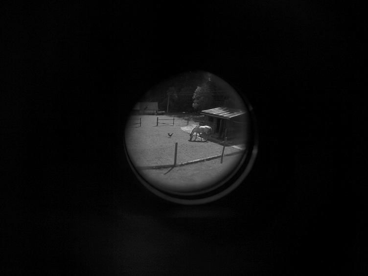 Week of Life - Šárka Lisníková - 17.6.12 - 1