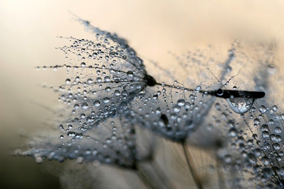 Fotím-Fotíš, snímky z komuninty na Google Plus