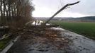 Strom na kamionu - Týneček - strom spadl na projíždějící kamion a blokují částečně silnici, při události nebyl nikdo zraněn.