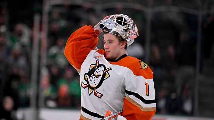 Brankář Dostál se kvůli smlouvě obrátil v NHL na arbitráž; Zdroj foto: Reuters