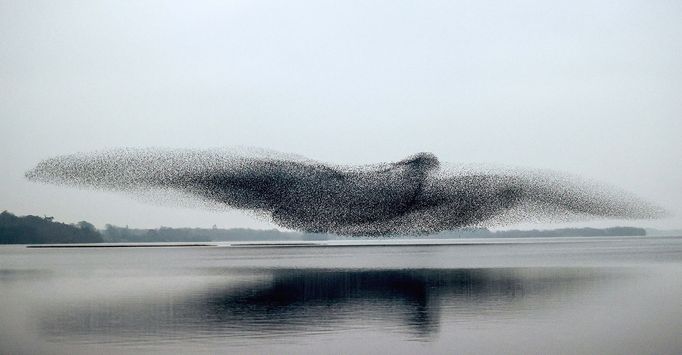 Sony World Photography Awards 2022 - nejlepší krajiny a cestovatelské fotky - Open