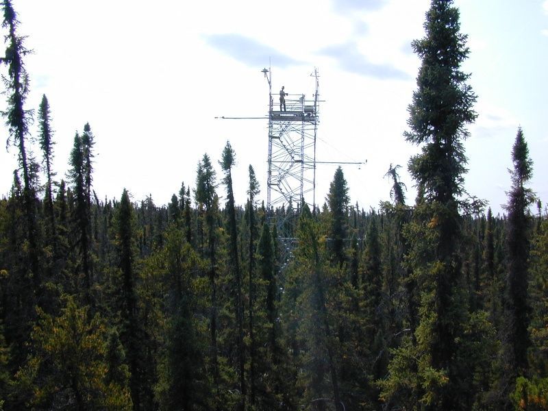 Meteorologická věž v jedlovém lese v Quebecu.