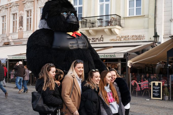 Vítejte v Pragolandu. Turistická Praha na fotkách