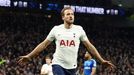 Harry Kane z Tottenhamu slaví gól v anglické lize.