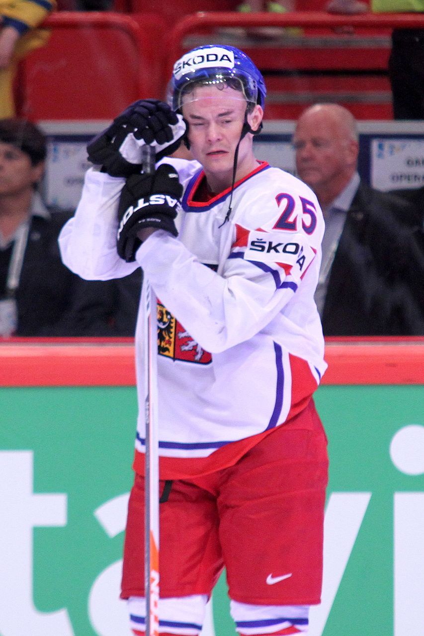 Hokej, MS 2013, Česko - Švýcarsko: Jiří Hudler
