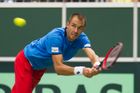 Davis Cup v Nizozemsku odehrají Veselý, Pavlásek, Rosol a Jebavý