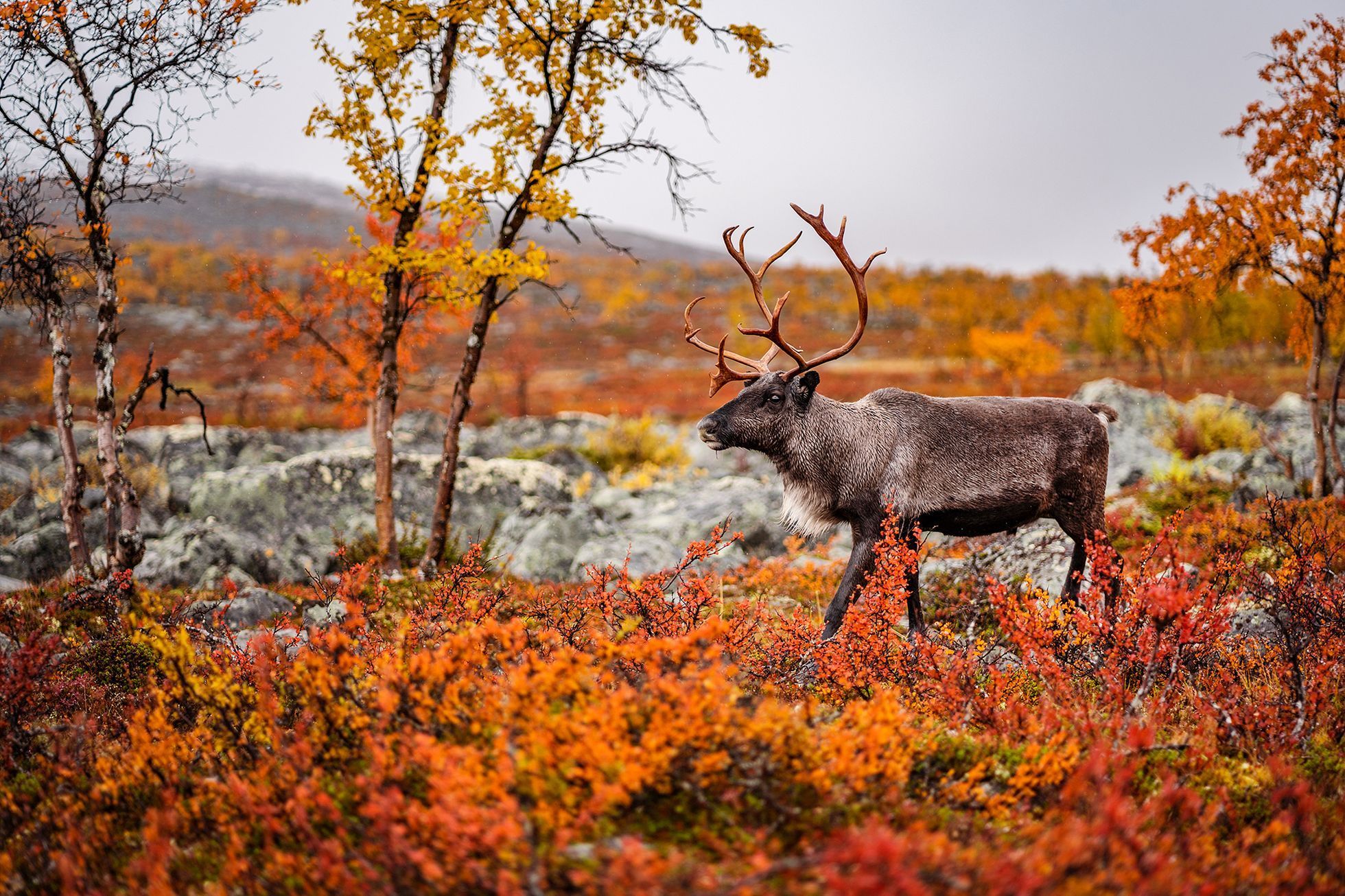 Fotografie Pavla Svobody