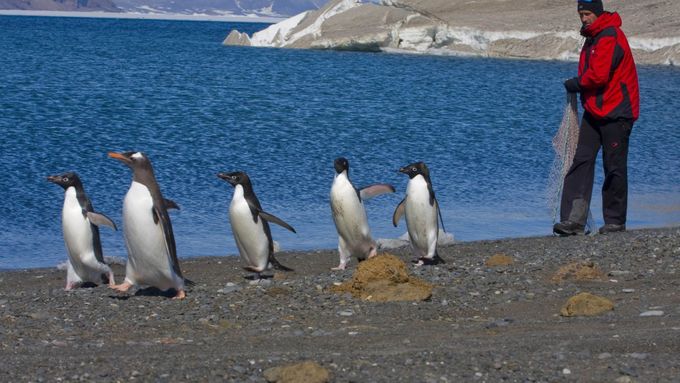 Čeští vědci 10 let na Antarktidě: Naměřili nejvyšší teplotu historie a objevili ostatky praještěra