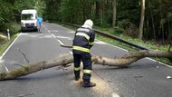 Na více místech museli odstraňovat popadané stromy a větve ze silnic.