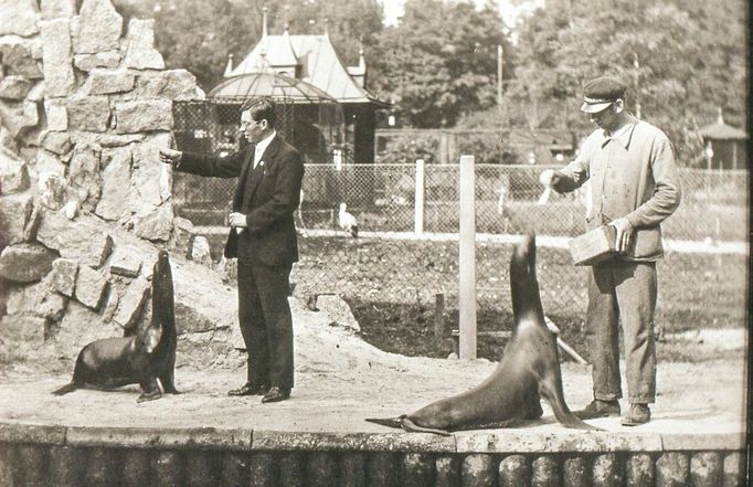 ZOO Liberec slaví 120 let od svého vzniku. Podívejte se na historické momenty a vývoj nejstarší zoologické zahrady v českých zemích od jejího založení v roce 1904.