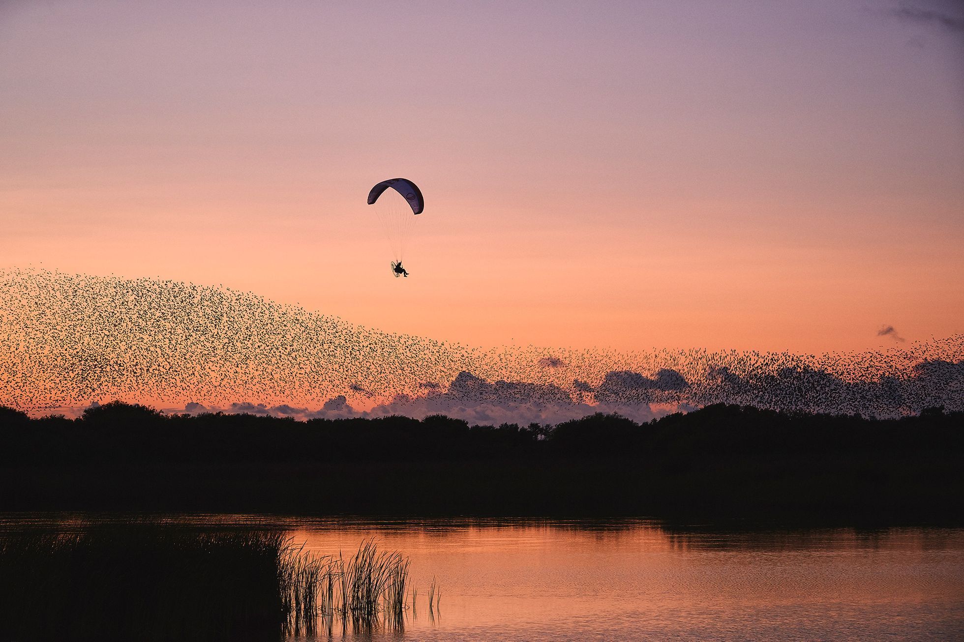 Krása minimalistické sportovní fotografie podle fotoeditorů Red Bullu